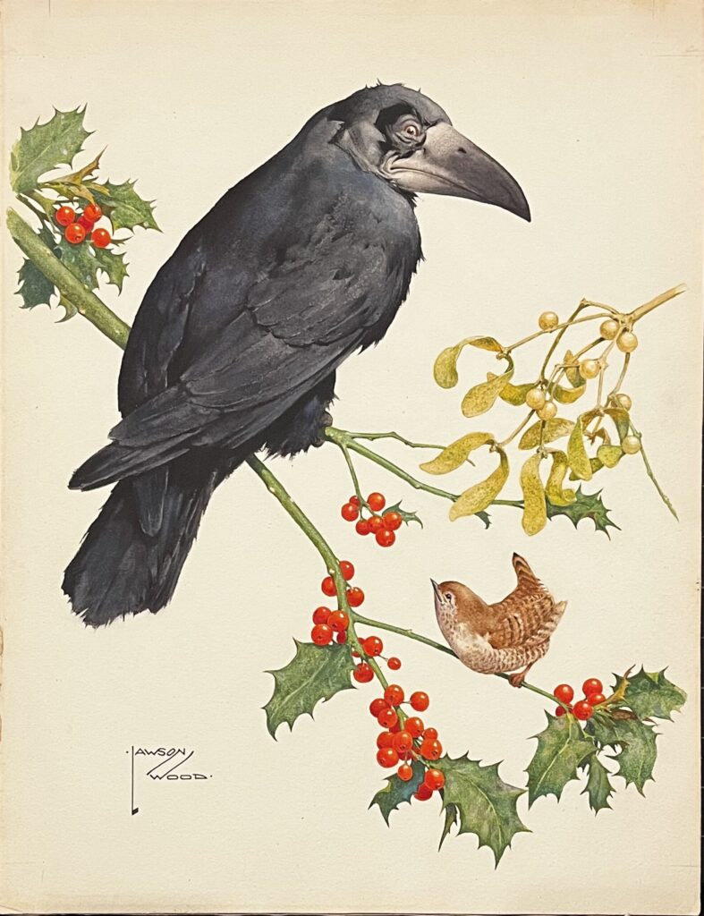 Raven and wren on holly and mistletoe.